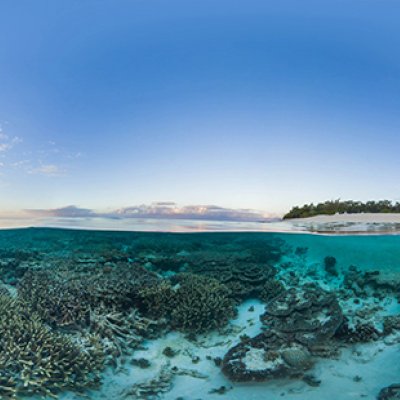 A picture of an ocean reef